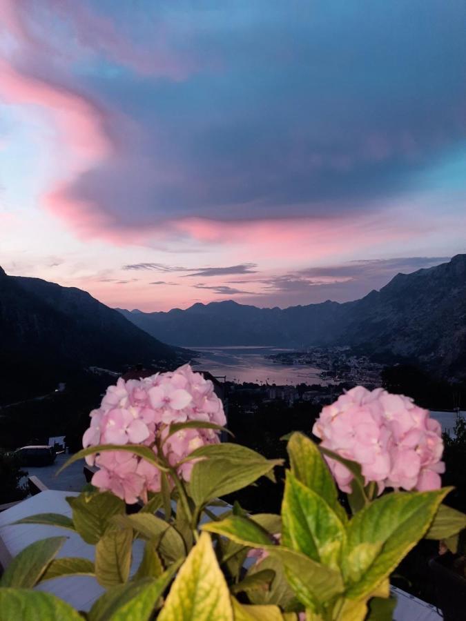 Apartmani Vasilije Kotor Exterior photo